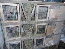 Як зробити клітку для кроликів своїми руками за методом Золотухіна опис, розміри та креслення своїми