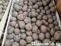 вегетационният период