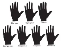 Як малювати руки поетапно олівцем руки