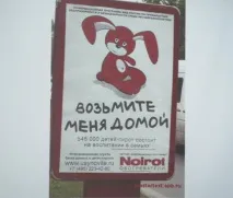 специални сираци