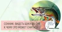 До чого сниться щука жінці жінці