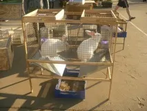 Клітини для відгодівлі кроликів креслення - Онлайн курси клітини