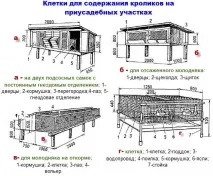 Клітини для відгодівлі кроликів креслення - Онлайн курси кроликів