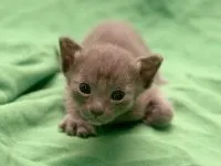 снимка снимка