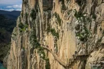 кралската кралската