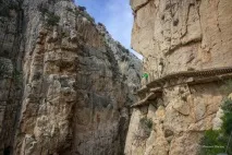 доклад кралската
