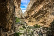 кралската кралската