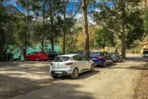 кралската пътека