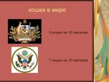 презентация света