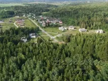 вилно