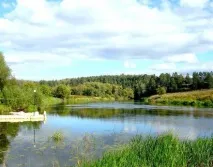 вилно vitro
