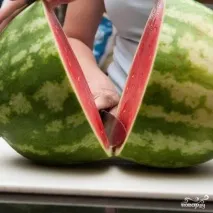 диня