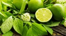 Лайм - опис продукту на опис