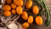Лайм - опис продукту на опис