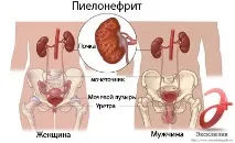петербург петербург