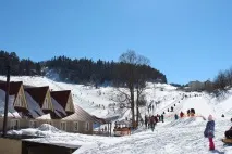 курорта дейности