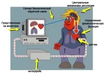 організму