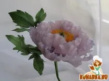 Курси Тетяни Хегай курси