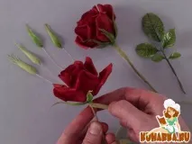 Курси Тетяни Хегай курси