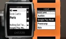Pebble
