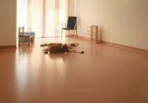 изберем изберем