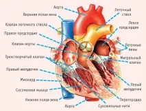 розташування
