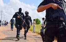 бразилския бразилския