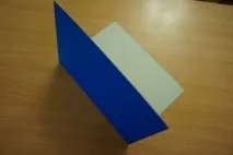 квіти
