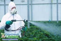 малини