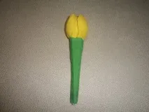 майсторски лалета
