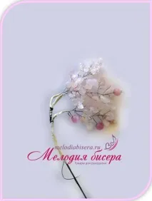 бонсай