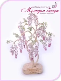 бонсай