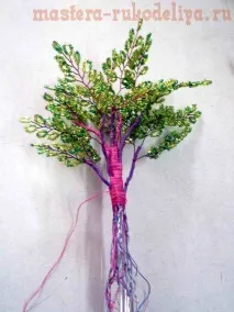 клас beryozka