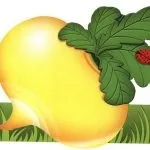Міні сценки на день народження, для чоловіків і жінок, смішні конкурси,ігри для дорослих на сценки