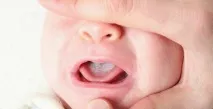 млечница млечница