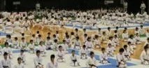 възможен карате