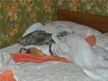 обучение страница