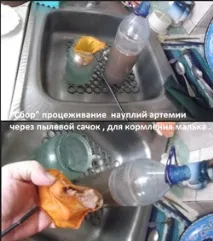 Александър Черников харков