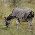 работохолик маска