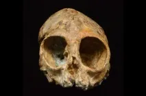 изглеждал учените