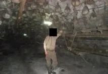 снимки миньор