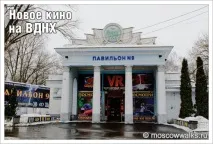 ново