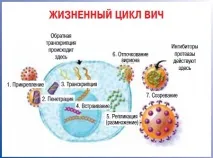 Нічна пітливість при вич як запобігти нічна