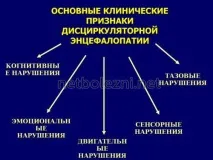 Осередкові зміни речовини мозку дисциркуляторного характеру зміни