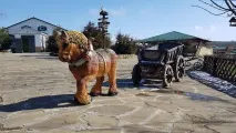 Парк живої природи, зоопарк "ДоДо", Натухаєвська природи
