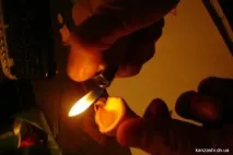 Бджілка канзаші бджілка
