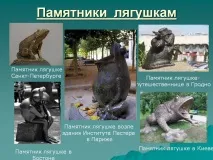 жаби Паметници жаби