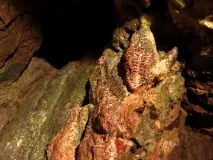 пещерите Пещери Свети Беатус