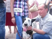 Перший Кубок для дворняг, Останні новини міста Донецька, Донецької області, Донбасу та України новини
