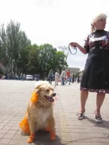 Перший Кубок для дворняг, Останні новини міста Донецька, Донецької області, Донбасу та України міста